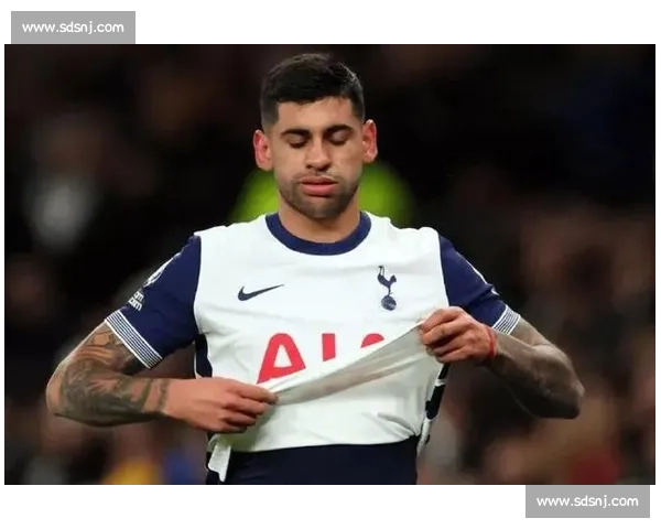 天空记者布里奇辟谣：热刺马竞未就罗梅罗转会费达成协议