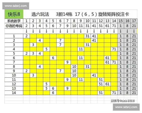 深入解析快乐8游戏玩法规律与投注技巧助你轻松提升中奖概率